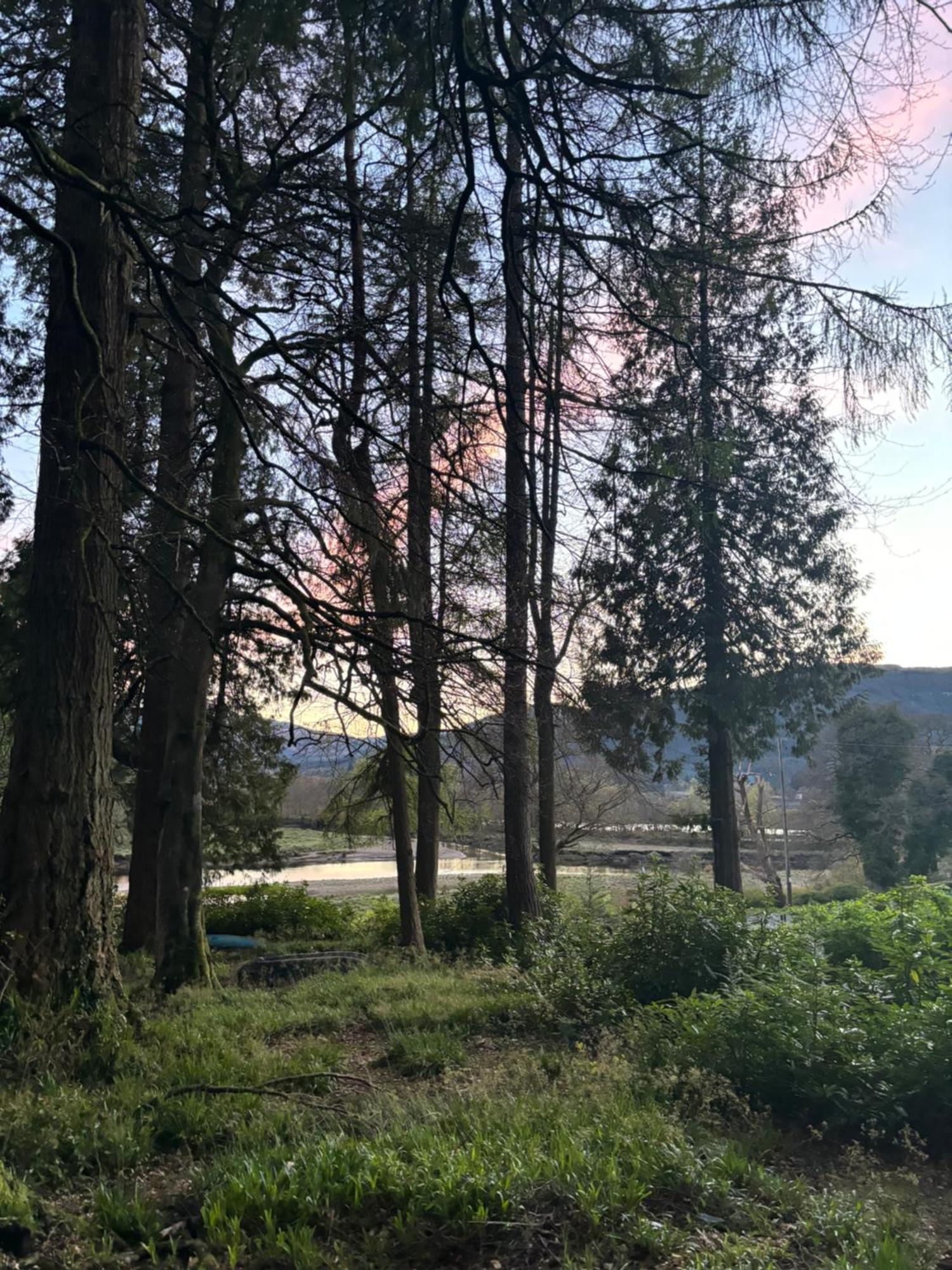 North Lodge Kilmun Ngoại thất bức ảnh