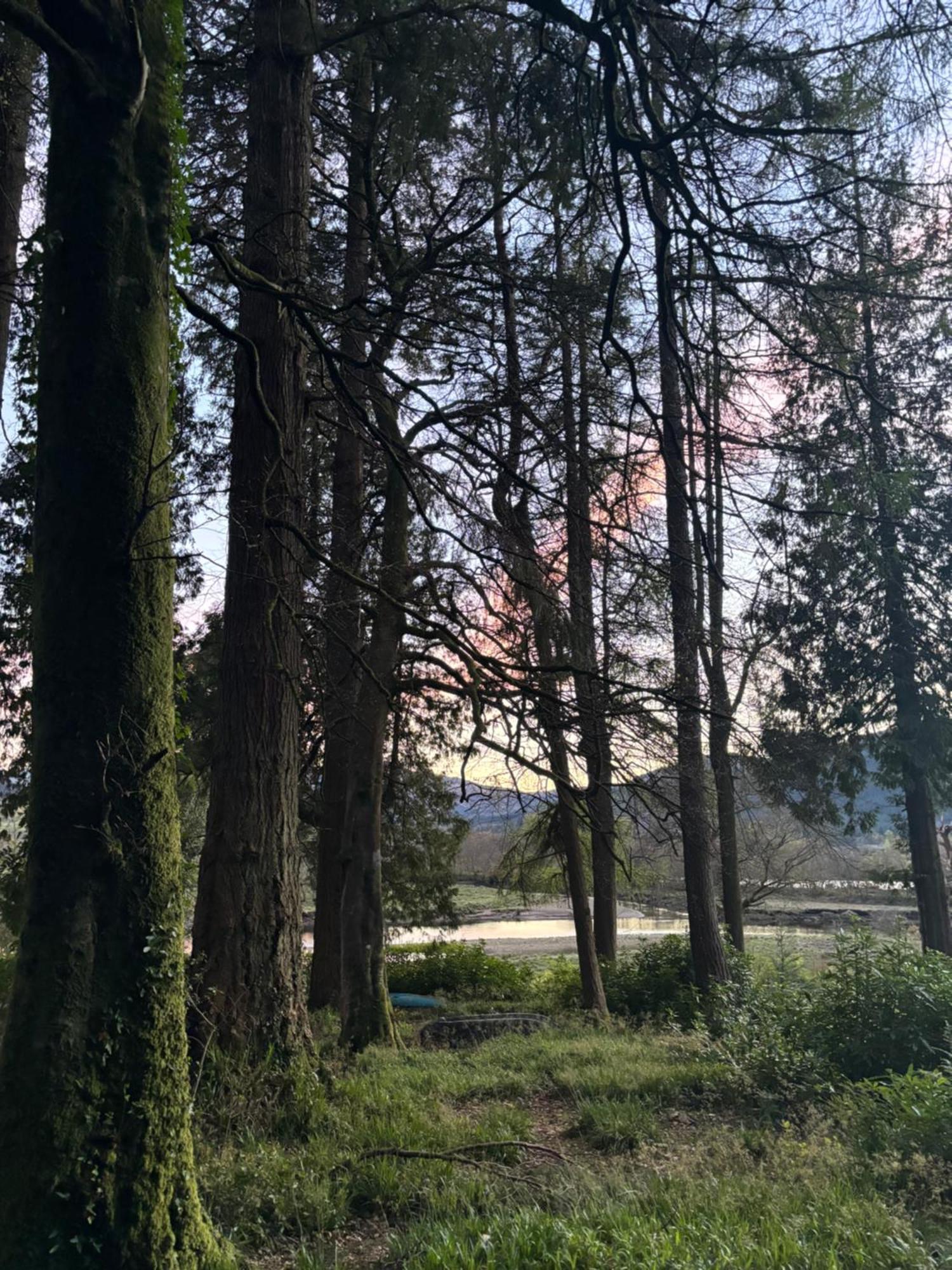 North Lodge Kilmun Ngoại thất bức ảnh